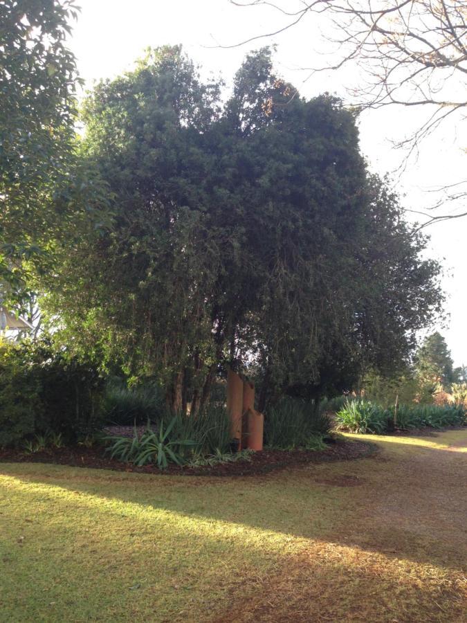 Deo Resta Guest Lodge Piet Retief Exteriör bild